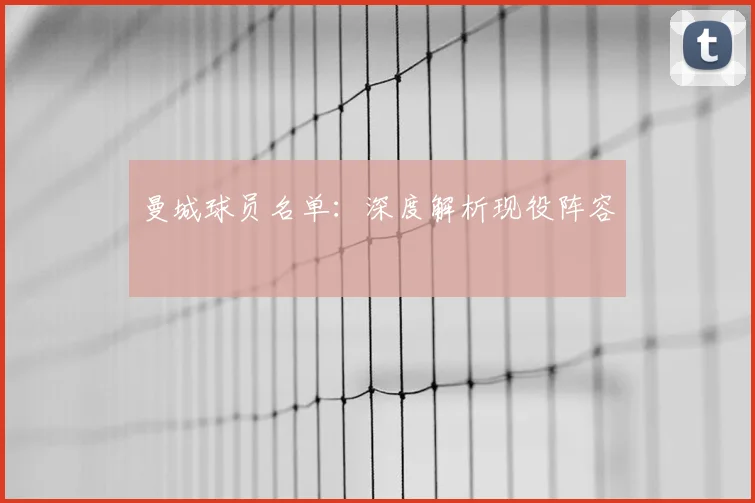 曼城球员名单：深度解析现役阵容