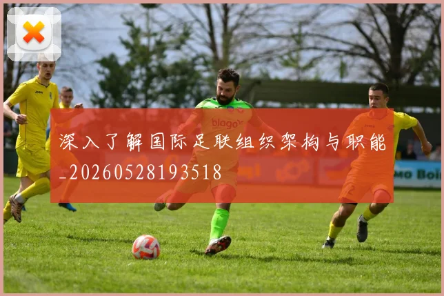 深入了解国际足联组织架构与职能_20260528193518
