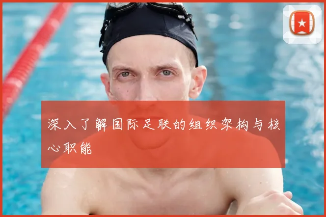 深入了解国际足联的组织架构与核心职能