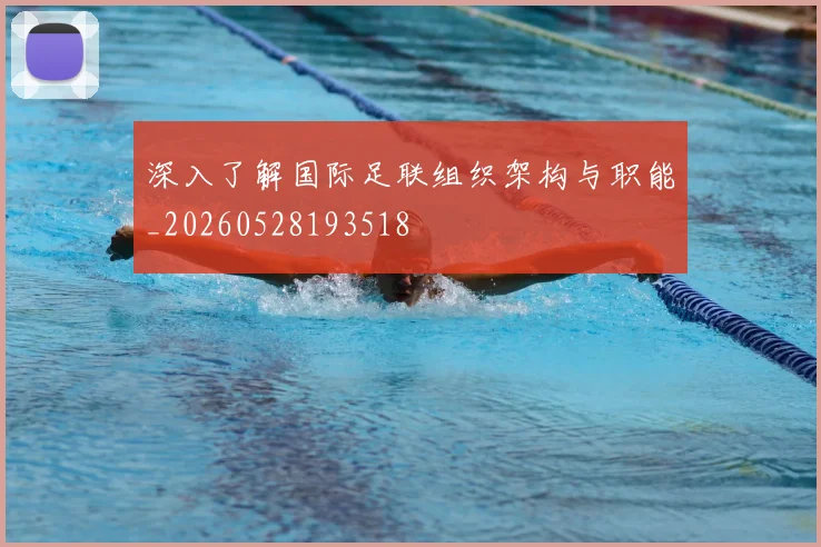 深入了解国际足联组织架构与职能_20260528193518
