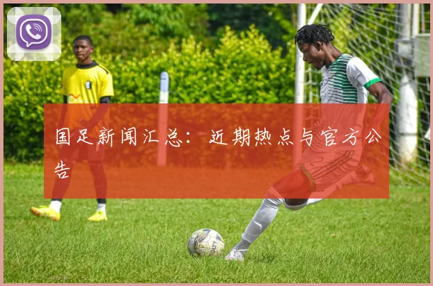 国足新闻汇总：近期热点与官方公告